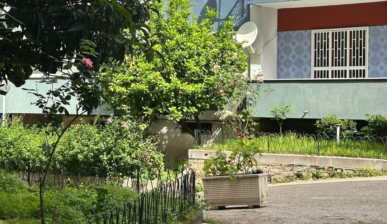 WhatsApp Image 2025-05-14 at 11.24.13